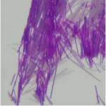 example 2 of dichroic ratio